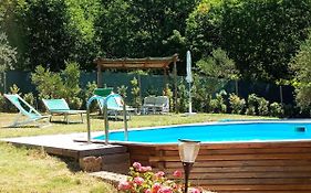 Villa con Piscina 10 Posti Letto, L'Oliveta Di Rivalto