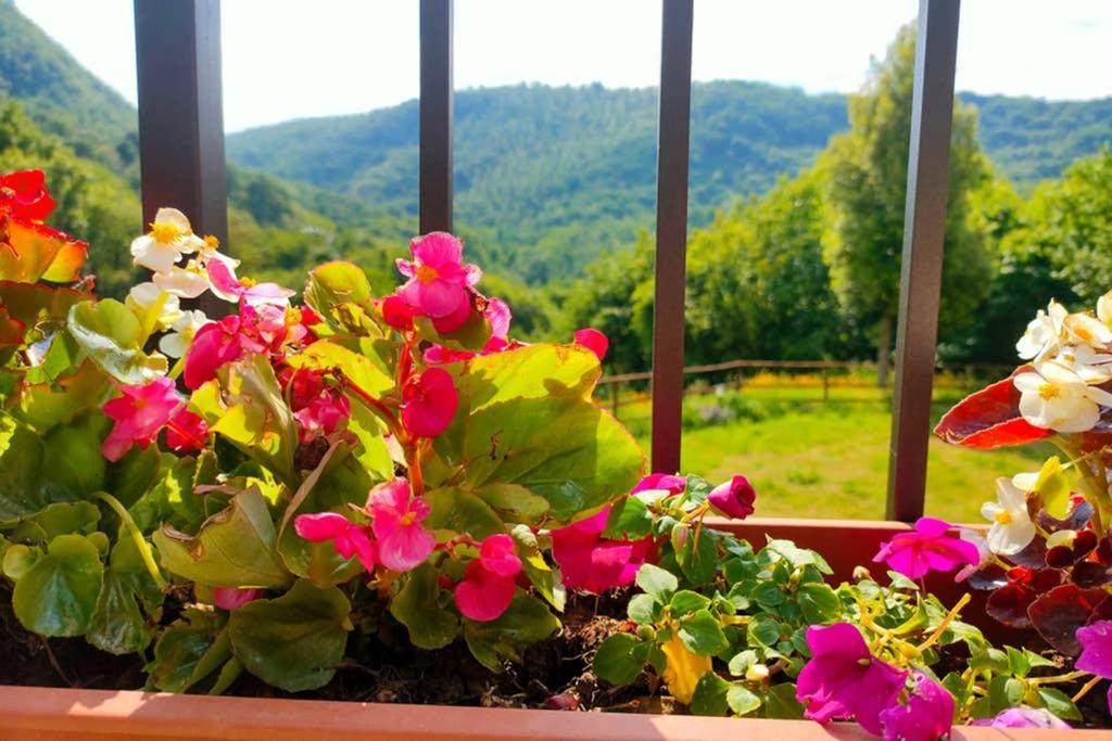 Villa con Piscina 10 Posti Letto, L'Oliveta Di Rivalto Chianni Esterno foto