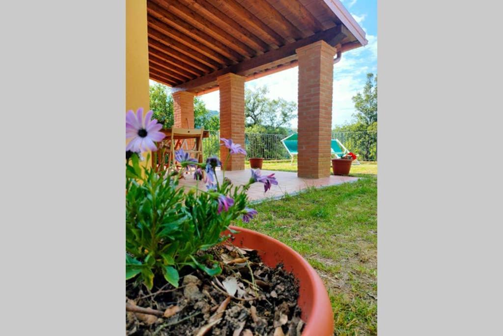 Villa con Piscina 10 Posti Letto, L'Oliveta Di Rivalto Chianni Esterno foto