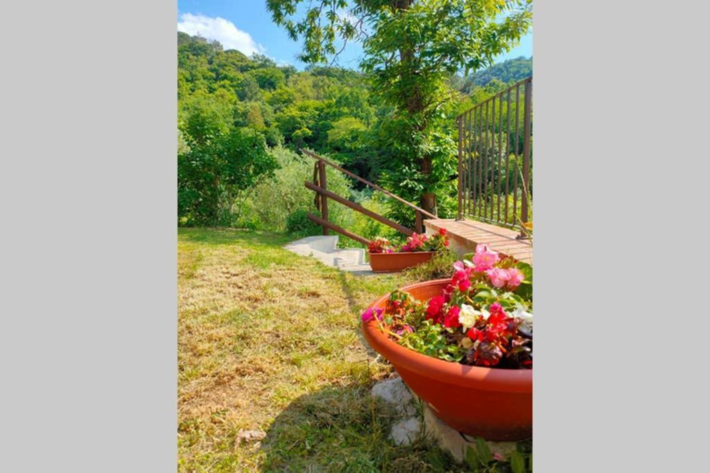Villa con Piscina 10 Posti Letto, L'Oliveta Di Rivalto Chianni Esterno foto
